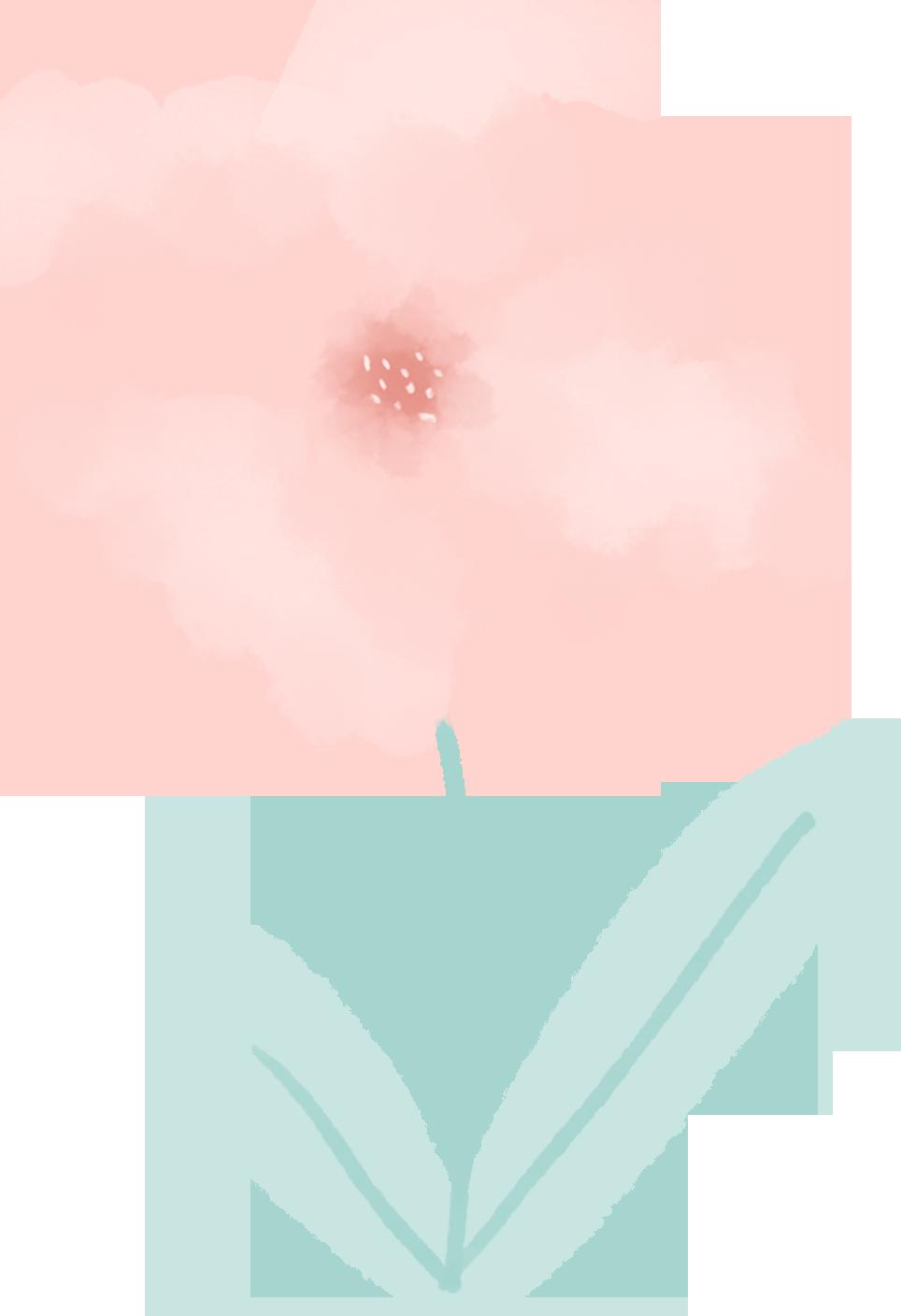 DƬ